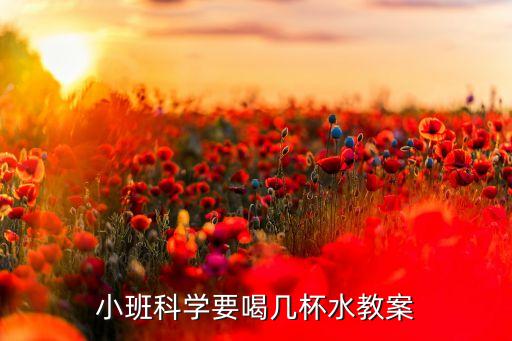 小班科学要喝几杯水教案
