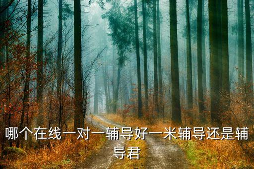 在线咨询辅导班，有没有好的网上辅导班