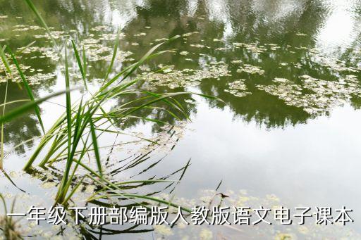 一年级语文教材电子版，人教版小学一年级语文下册电子课本pdf下载在线阅读全文求百度网