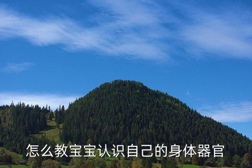 怎么教宝宝认识自己的身体器官