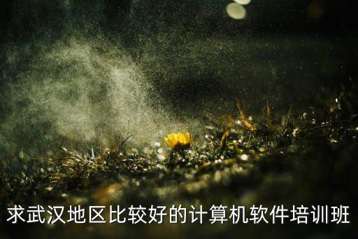 求武汉地区比较好的计算机软件培训班