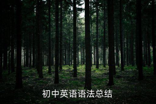 初中英语语法总结