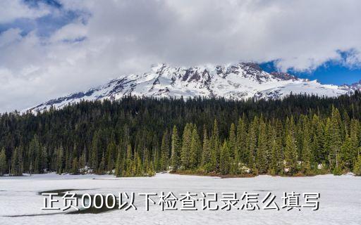 正负000以下检查记录怎么填写