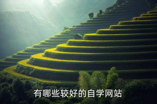 有哪些较好的自学网站