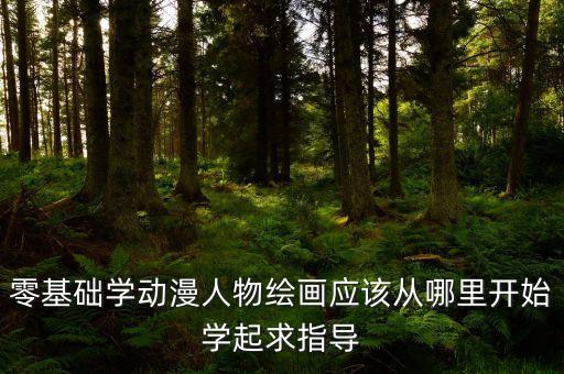 零基础学动漫人物绘画应该从哪里开始学起求指导