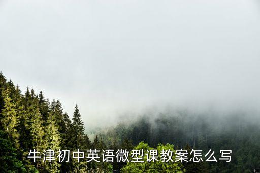 牛津初中英语微型课教案怎么写