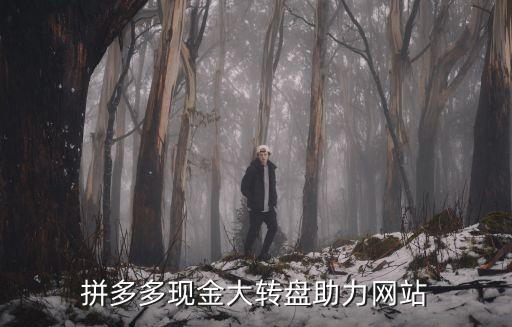 拼多多现金大转盘助力网站