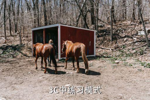 3C中练习模式