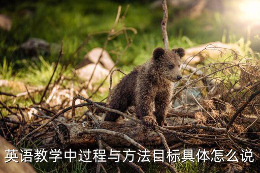 英语教学中过程与方法目标具体怎么说