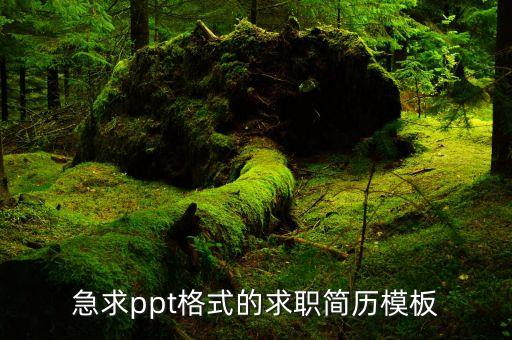急求ppt格式的求职简历模板
