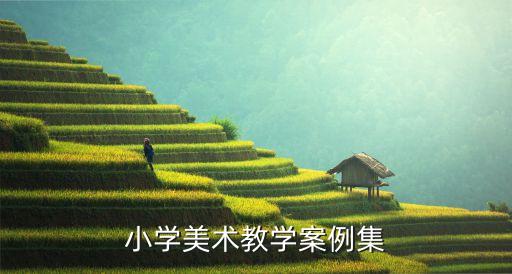 美术教学改进案例，小学美术教学中如何体现探究性学习与合作性学习方式试结i合一个
