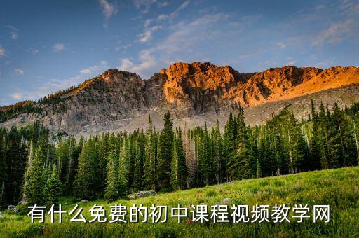 有什么免费的初中课程视频教学网