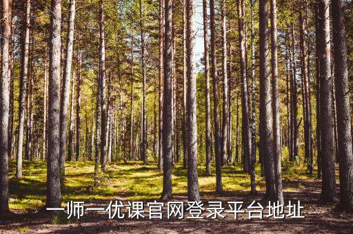 一师一优课官网登录平台地址