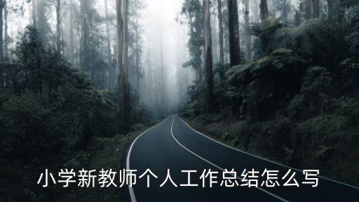 小学新教师个人工作总结怎么写