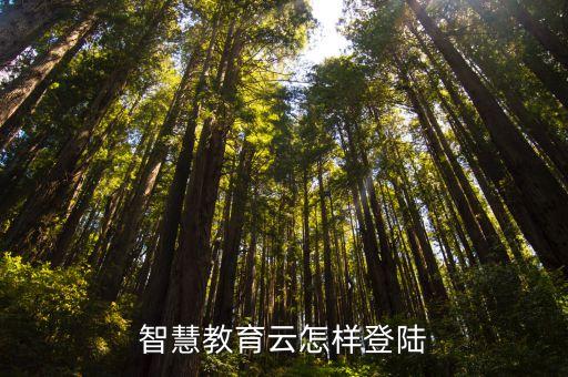 智慧教育云怎样登陆