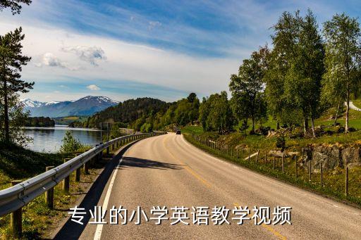 专业的小学英语教学视频
