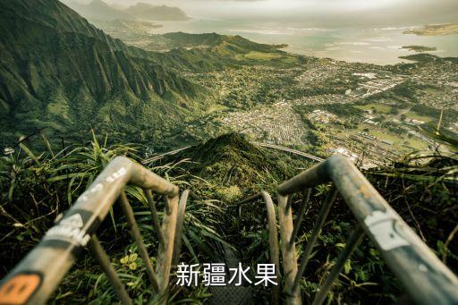 新疆水果教案幼儿园，新疆水果
