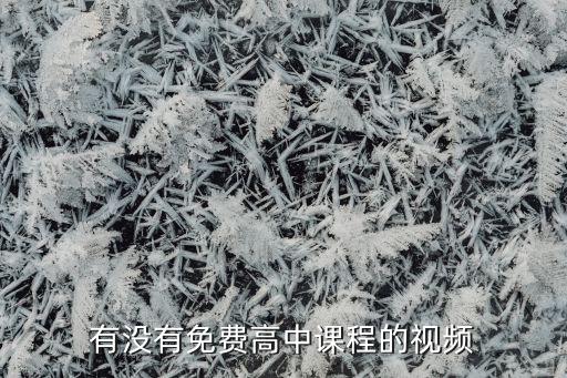 有没有免费高中课程的视频