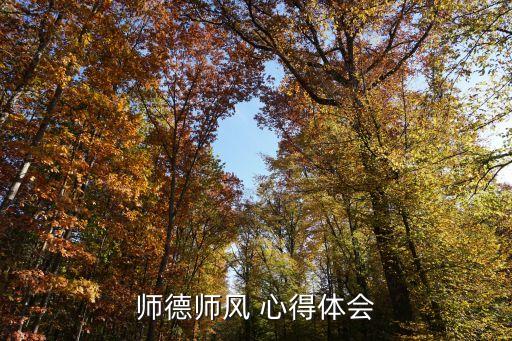 师德师风 心得体会