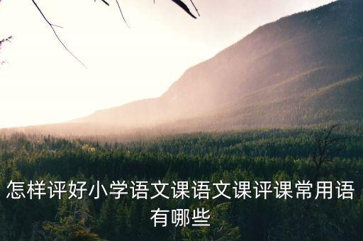怎样评好小学语文课语文课评课常用语有哪些