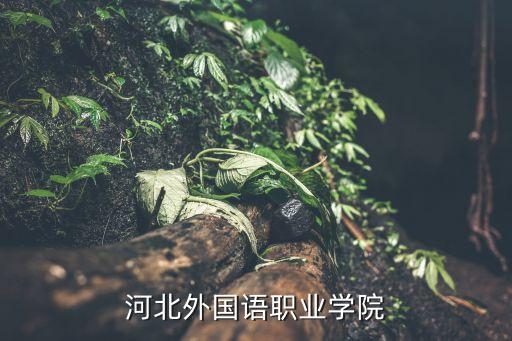 河北外国语职业学院