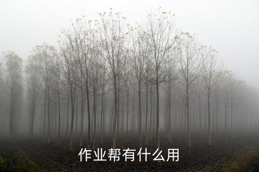 作业帮有什么用