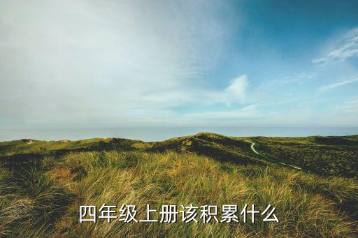 四年级上册该积累什么