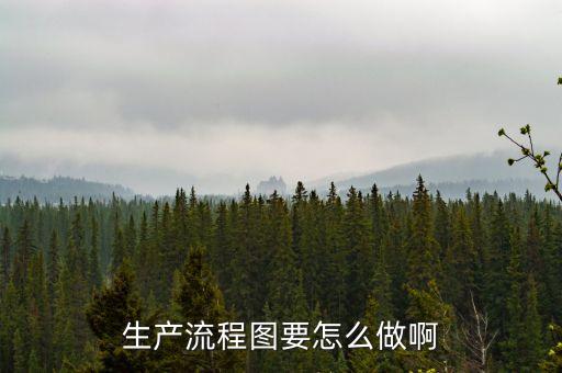 生产流程图要怎么做啊