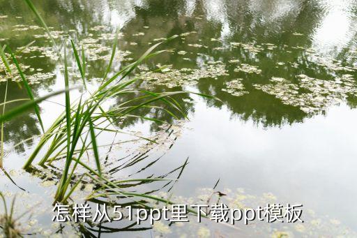 怎样从51ppt里下载ppt模板