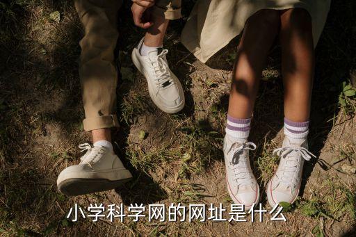 小学科学教学网官网，小学科学网站怎样登陆