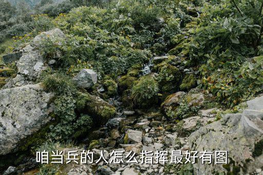咱当兵的人怎么指挥最好有图