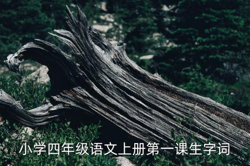 小学四年级语文上册第一课生字词