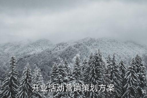 开业活动营销策划方案