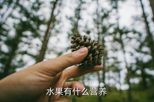水果有什么营养