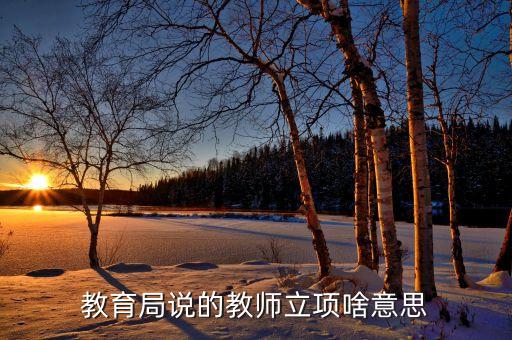 课题立项是什么意思，青年立项课题是什么意思