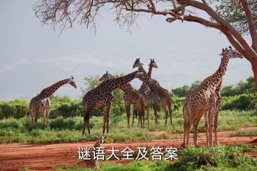 谜语大全及答案