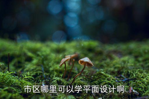 哪里可以学平面设计培训，平面设计 培训在哪里有