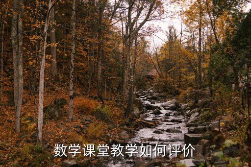 数学课堂教学如何评价