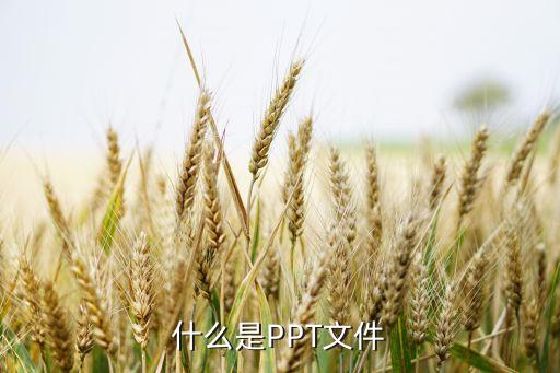 什么叫ppt文档，ppt是什么文件
