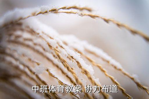 中班体育教案 协力布道