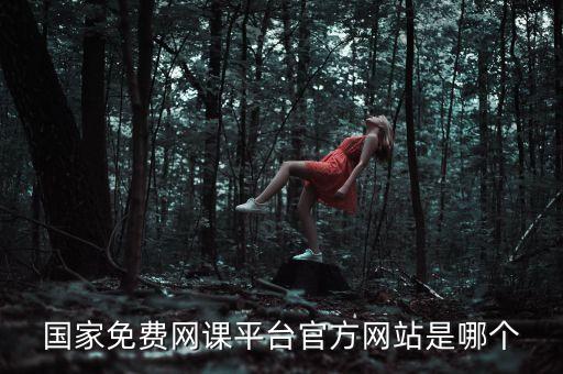 国家免费网课平台官方网站是哪个