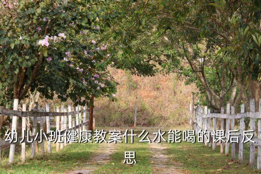 幼儿小班健康教案什么水能喝的课后反思