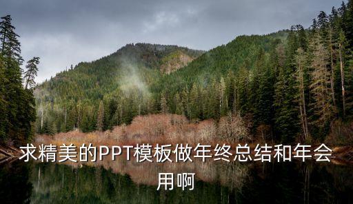 求精美的PPT模板做年终总结和年会用啊