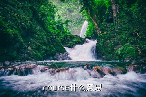 course什么意思