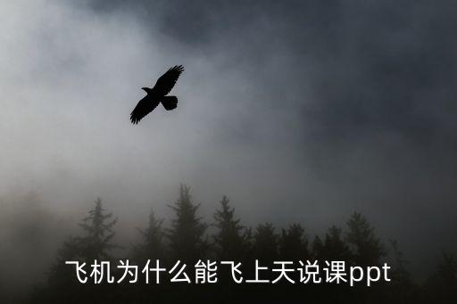 飞机为什么能飞上天说课ppt