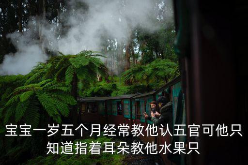 宝宝一岁五个月经常教他认五官可他只知道指着耳朵教他水果只