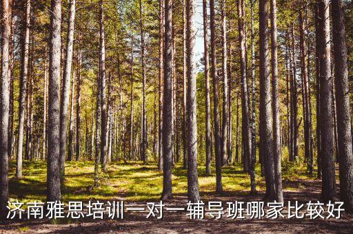 济南雅思培训一对一辅导班哪家比较好