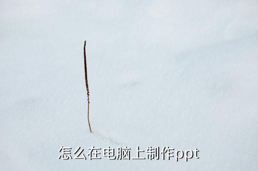 怎么在电脑上制作ppt