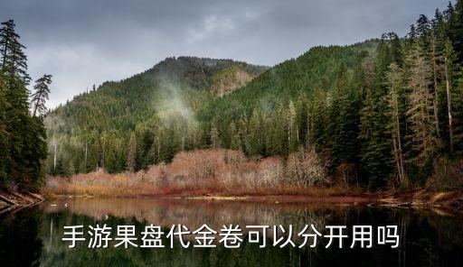 果盘app，果盘助手下载