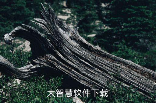 智慧云平台app官方下载，大智慧软件下载